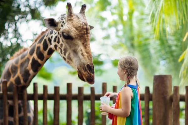 Thing To Do Panama City Beach Family Attractions
